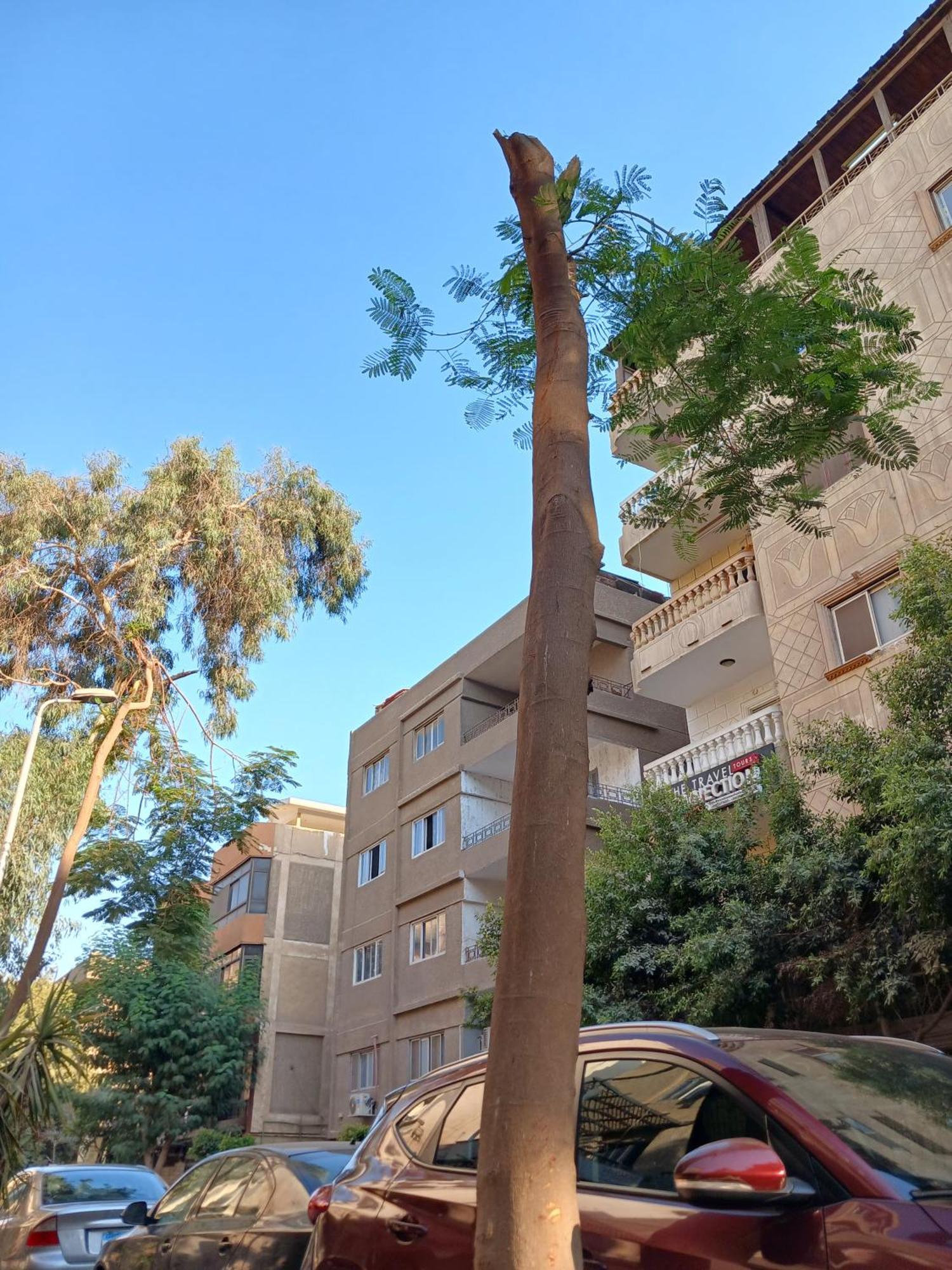 Pyramids Way Inn Kafrat al Jabal Екстер'єр фото